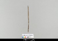 藏品(中國湖北皮影戲相關物件-操縱桿)的圖片